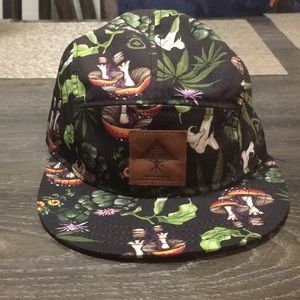 LRG 5 panel hat